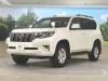 LAND CRUISER PRADO 2018/TX/TRJ150W