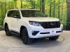 TOYOTA LAND CRUISER PRADO 2023/TX L PKG MATT BLACK ED 4WD/TRJ150W