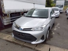 TOYOTA COROLLA FIELDER 2020/EX/NKE165