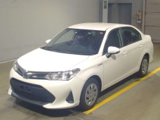 TOYOTA COROLLA AXIO 2019/EX/NKE165