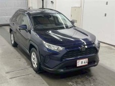 TOYOTA RAV4 2020/X/MXAA52