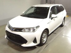 TOYOTA COROLLA FIELDER 2020/EX/NKE165G