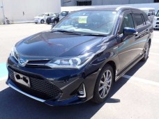 TOYOTA COROLLA FIELDER 2019/G WxB/NKE165G