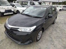 TOYOTA COROLLA FIELDER 2020/NKE165G
