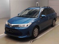 TOYOTA COROLLA FIELDER 2020/EX/NKE165G