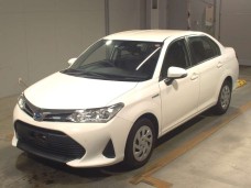 TOYOTA COROLLA AXIO 2019/NKE165
