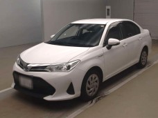 TOYOTA COROLLA AXIO 2020/EX/NKE165