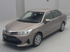 TOYOTA COROLLA AXIO 2019/NKE165