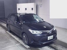 TOYOTA COROLLA FIELDER 2020/EX/NKE165G