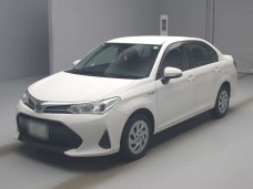 TOYOTA COROLLA AXIO 2019/NKE165