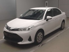 TOYOTA COROLLA AXIO 2019/NKE165