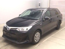 TOYOTA COROLLA FIELDER 2019/NKE165G