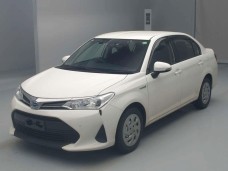 TOYOTA COROLLA AXIO 2019/NKE165
