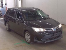 TOYOTA COROLLA FIELDER 2021/EX/NKE165G