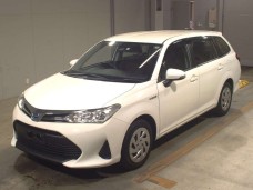 TOYOTA COROLLA FIELDER 2020/EX/NKE165G