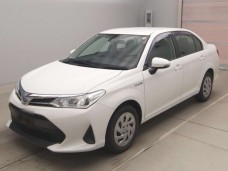 TOYOTA COROLLA AXIO 2019/NKE165