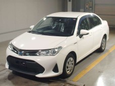 TOYOTA COROLLA AXIO 2019/EX/NKE165