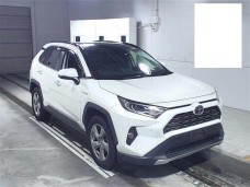 TOYOTA RAV4 2019/G 4WD/AXAH54