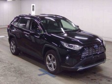 TOYOTA RAV4 2021/G 4WD/AXAH54