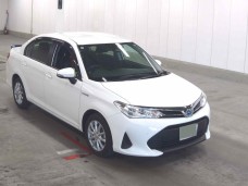 TOYOTA COROLLA AXIO 2019/NKE165