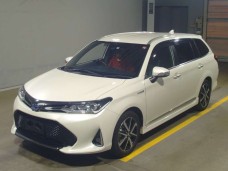 TOYOTA COROLLA FIELDER 2019/G WxB/NKE165G