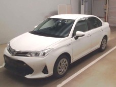 TOYOTA COROLLA AXIO 2019/G/NKE165