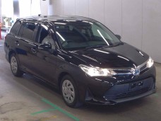 TOYOTA COROLLA FIELDER 2021/EX/NKE165G