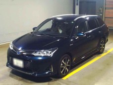 TOYOTA COROLLA FIELDER 2019/G WxB/NKE165G