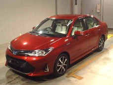 TOYOTA COROLLA AXIO 2019/G WxB/NKE165