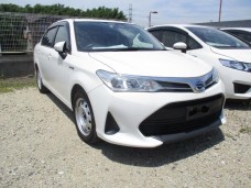 TOYOTA COROLLA AXIO 2020/EX/NKE165