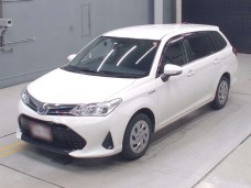 TOYOTA COROLLA FIELDER 2019/G/NKE165G