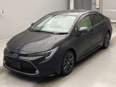 TOYOTA COROLLA 2021/WxB/ZWE211